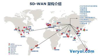 谁来为跨境网络技术服务买单——凌锐蓝信助力在线教育国际化